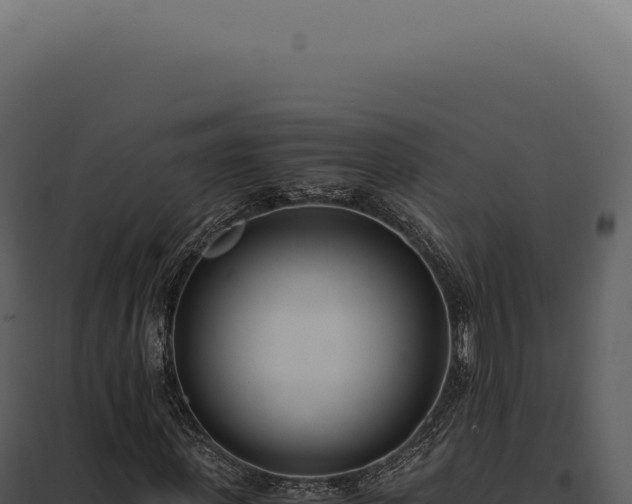 X0000097980915200804011741