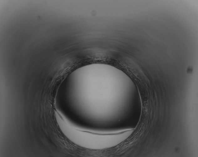 X0000097980916200804011741