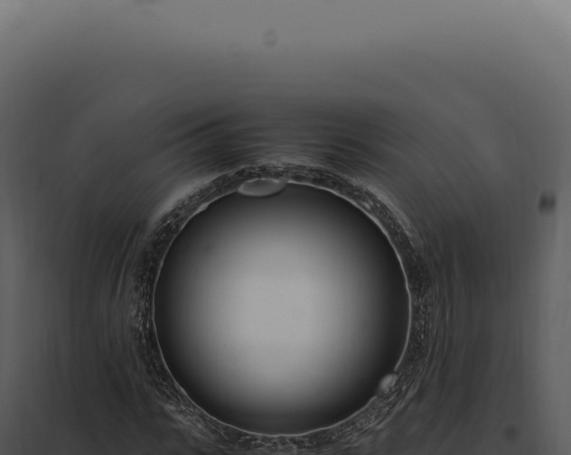 X0000097980919200804011741