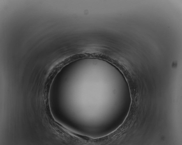 X0000097980920200804011741