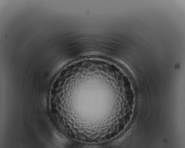X0000097980921200804011741