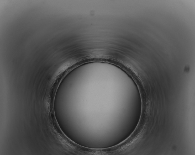 X0000097980922200804011741