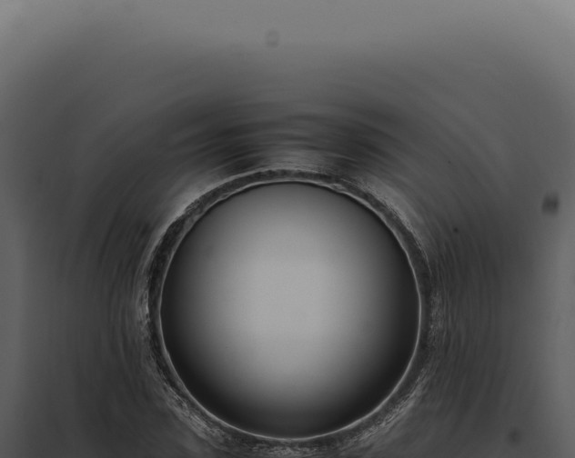 X0000097980923200804011741