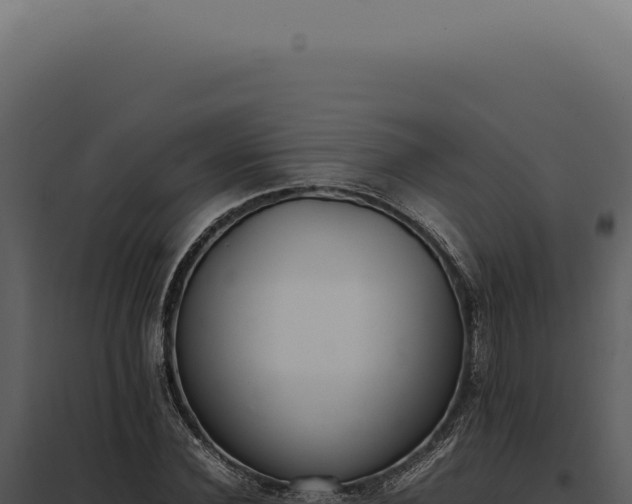 X0000097980924200804011741