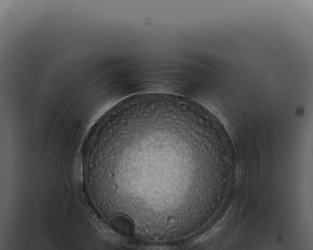 X0000097980925200804011741