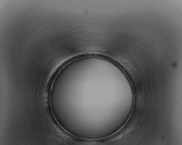 X0000097980926200804011741