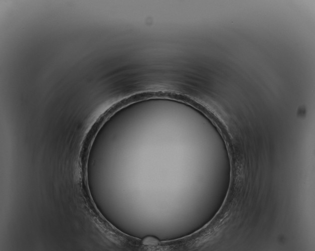 X0000097980927200804011741