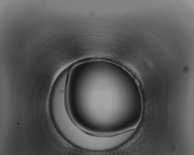 X0000097980928200804011741