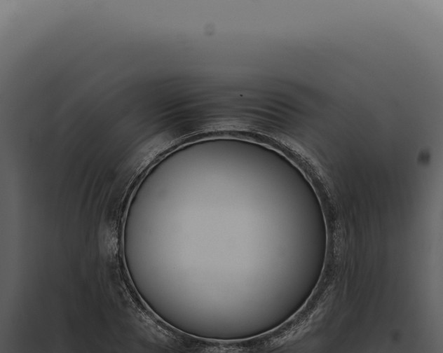 X0000097980929200804011741