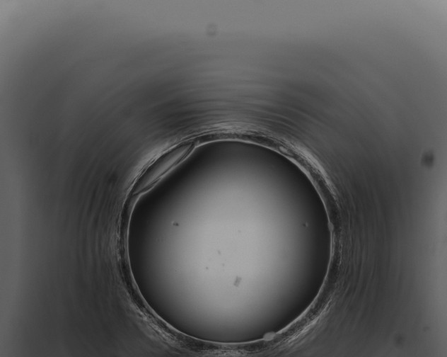 X0000097980930200804011741