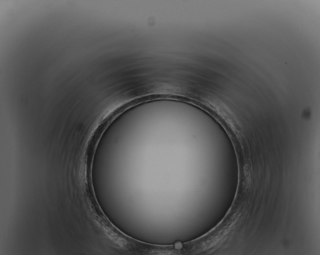 X0000097980931200804011741