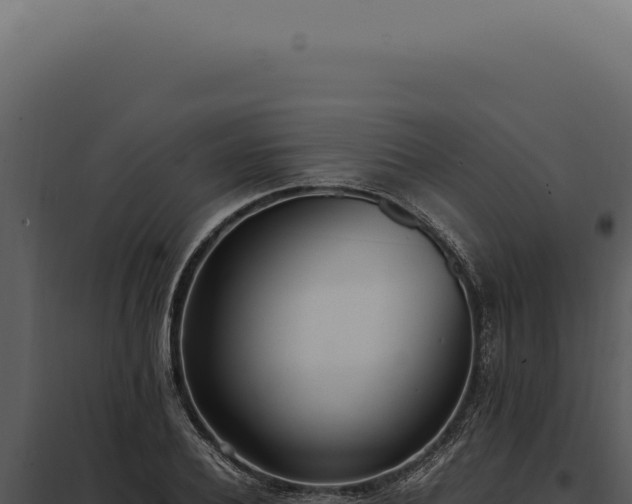 X0000097980932200804011741