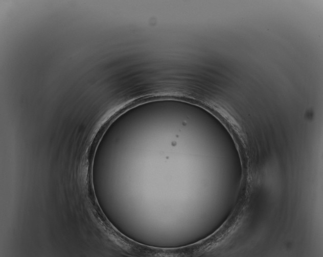 X0000097980933200804011741