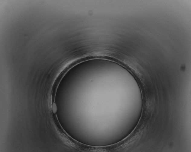 X0000097980934200804011741