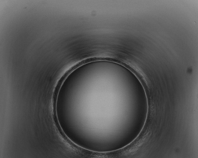 X0000097980935200804011741