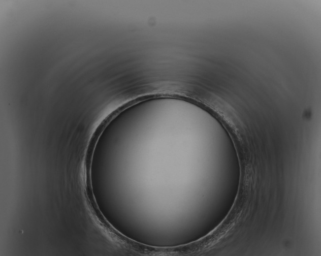 X0000097980936200804011741