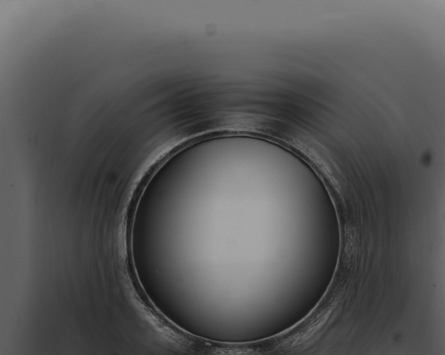 X0000097980939200804011741
