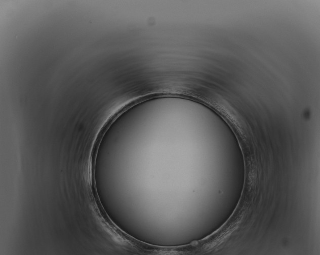 X0000097980940200804011741