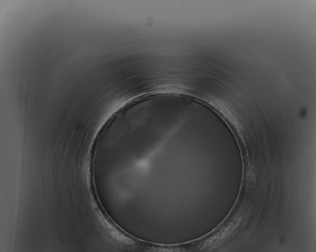 X0000097980941200804011741