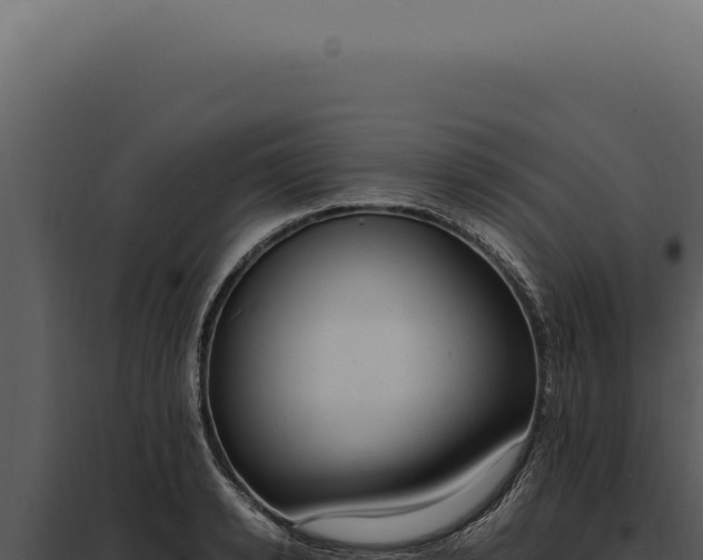 X0000097980942200804011741
