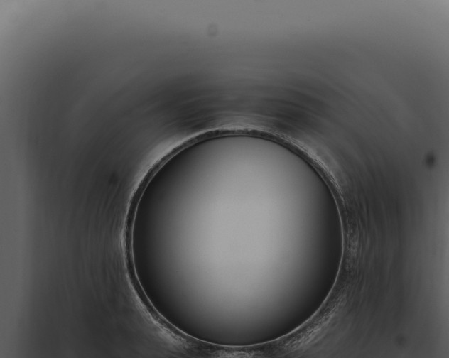 X0000097980943200804011741