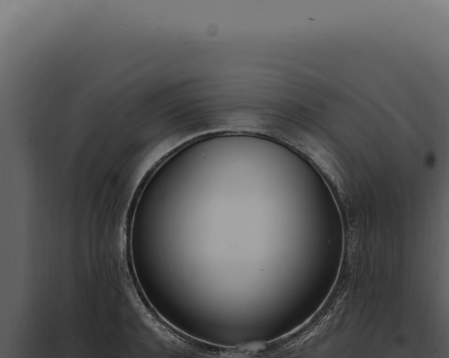 X0000097980944200804011741