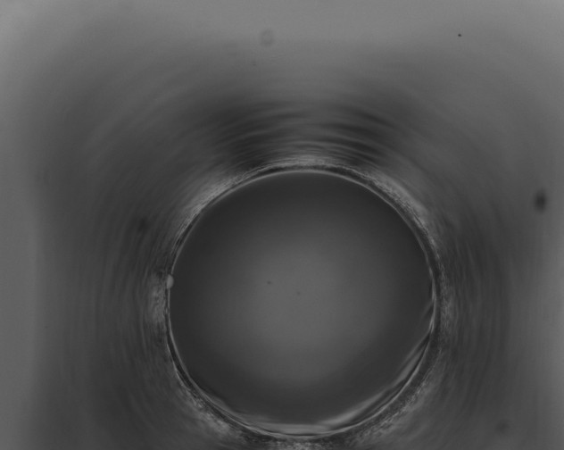 X0000097980945200804011741