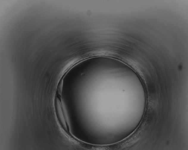 X0000097980946200804011741