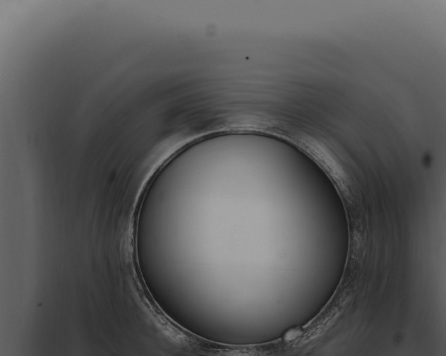 X0000097980948200804011741