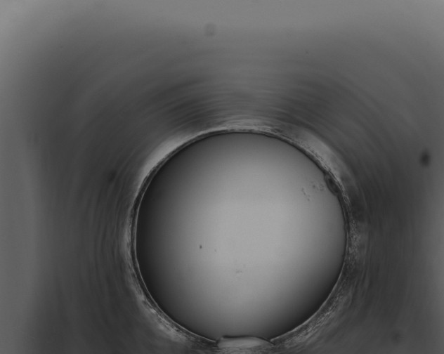 X0000097980952200804011742