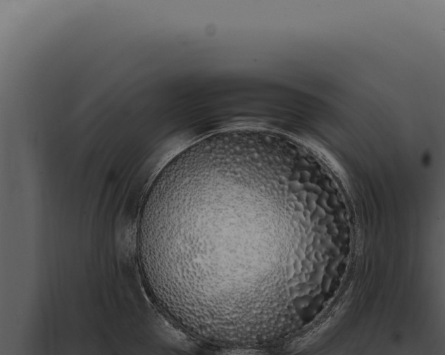X0000097980953200804011742