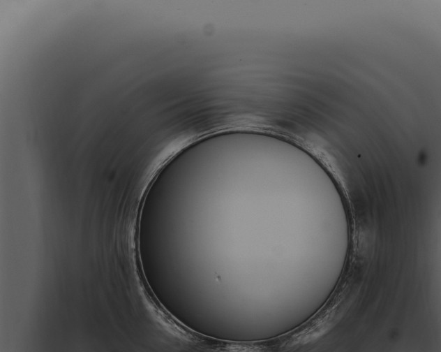 X0000097980954200804011742