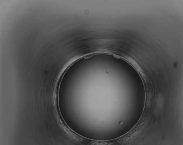 X0000097980955200804011742