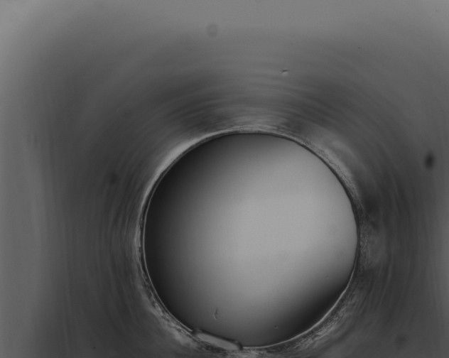 X0000097980956200804011742
