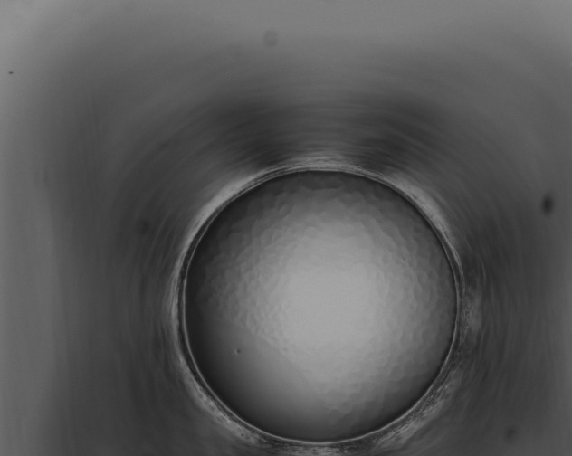 X0000097980957200804011742