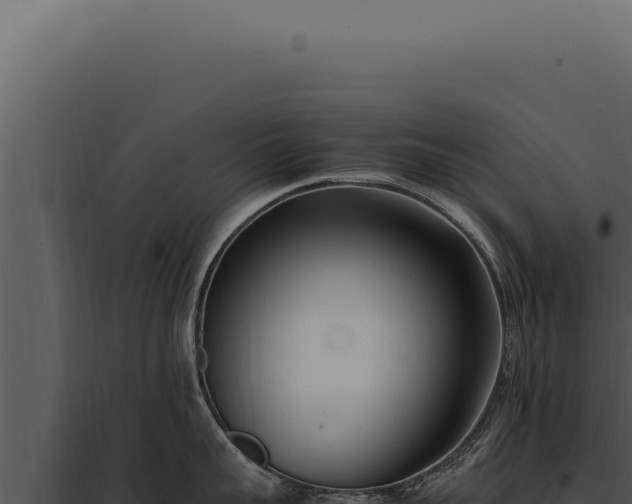X0000097980959200804011742