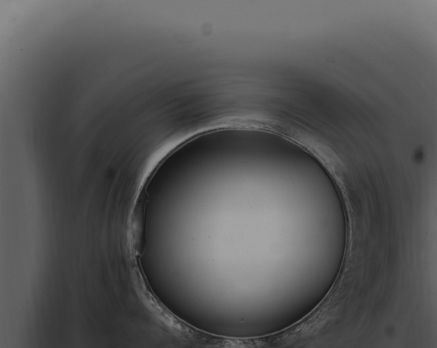 X0000097980960200804011742
