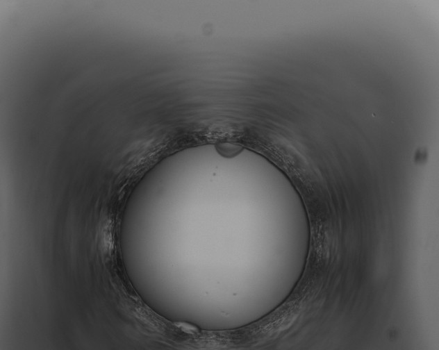 X0000097980962200804011741