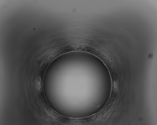 X0000097980963200804011741