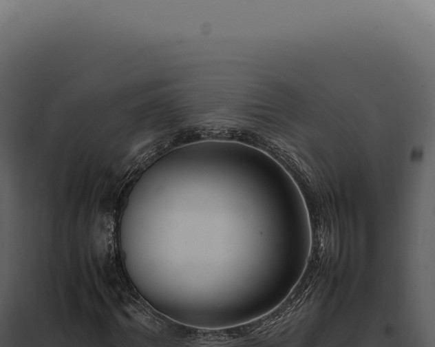 X0000097980964200804011741