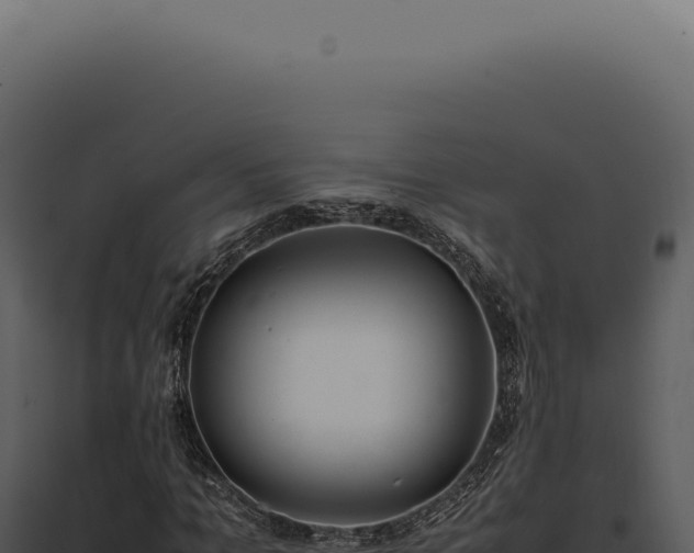 X0000097980965200804011741