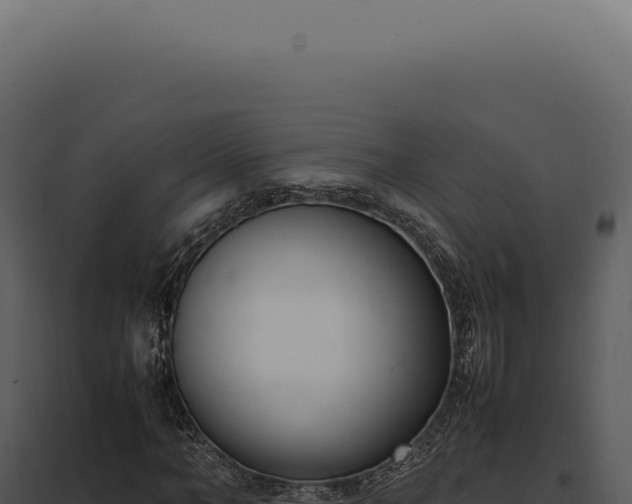 X0000097980966200804011741