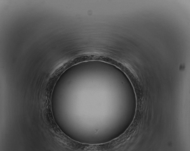 X0000097980967200804011741