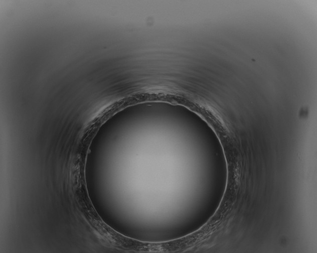X0000097980968200804011741