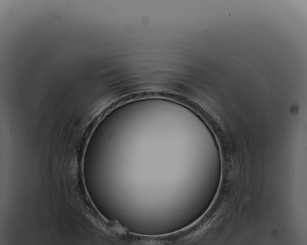 X0000097980969200804011741