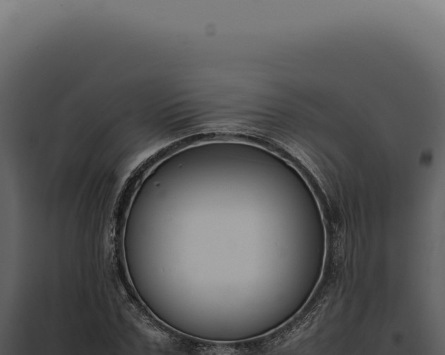 X0000097980971200804011741