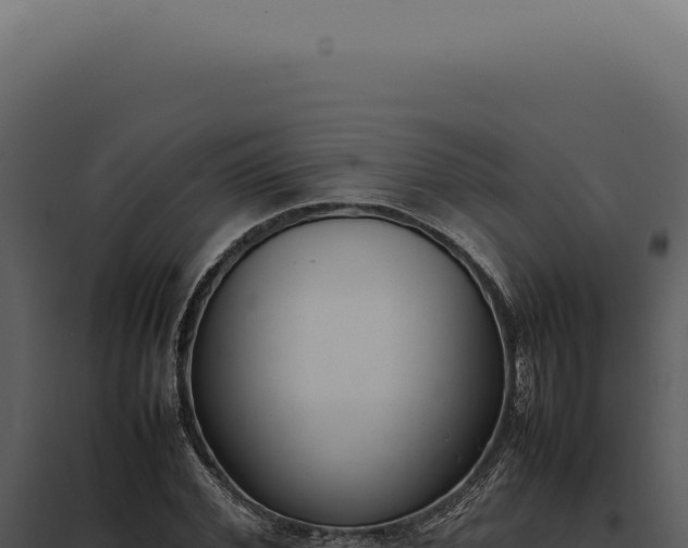 X0000097980972200804011741