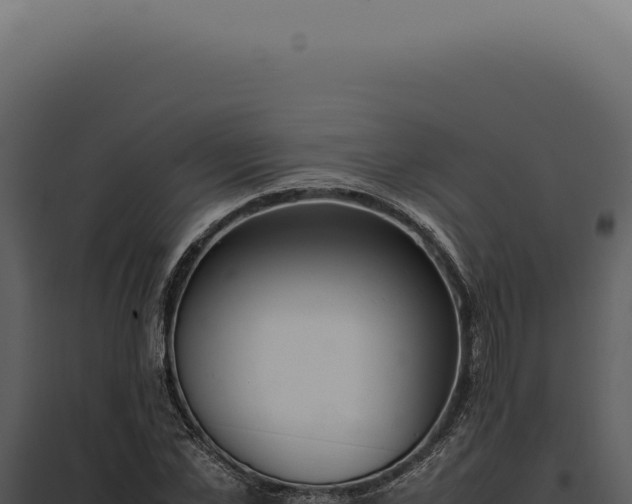 X0000097980973200804011741