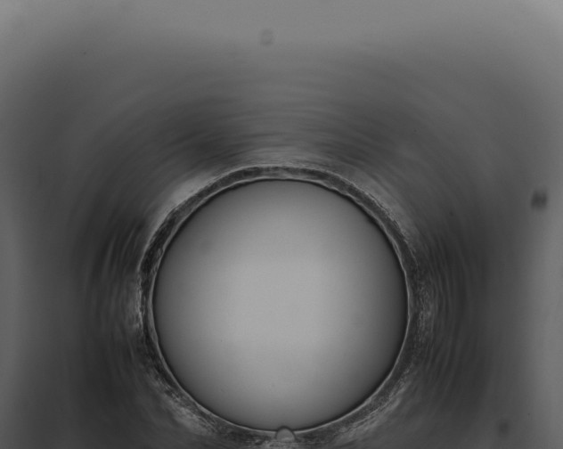 X0000097980974200804011741