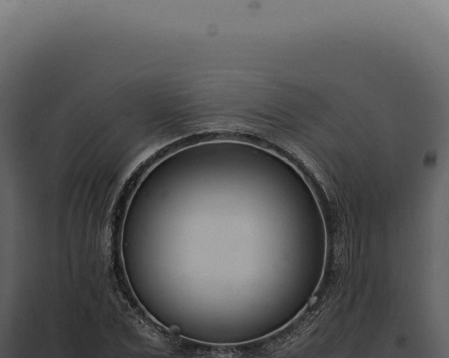 X0000097980975200804011741